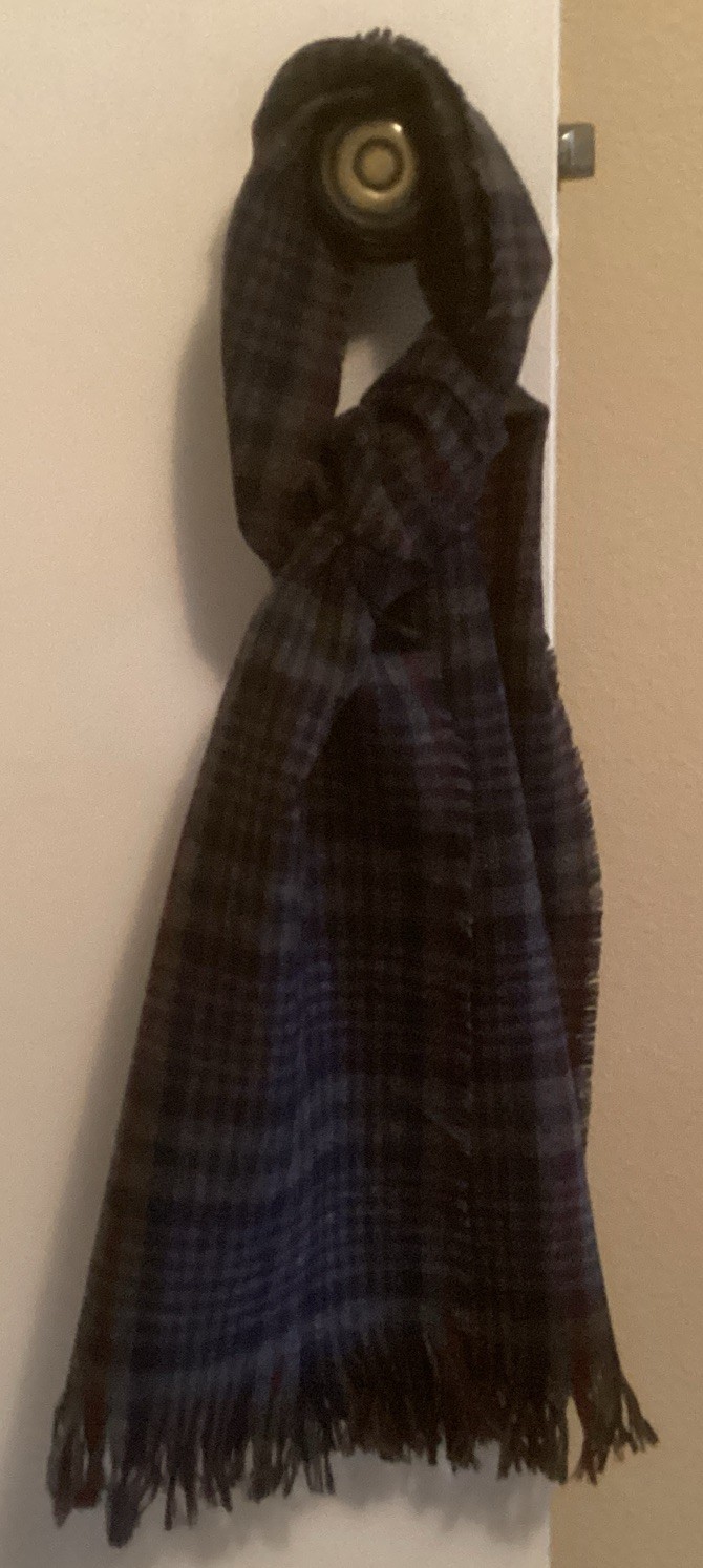 Pendleton Wool Neck Scarf Plaid - image 5