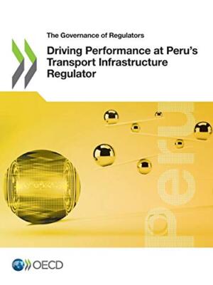 Driving Performance at Perus Transport Infrastructure Regulator