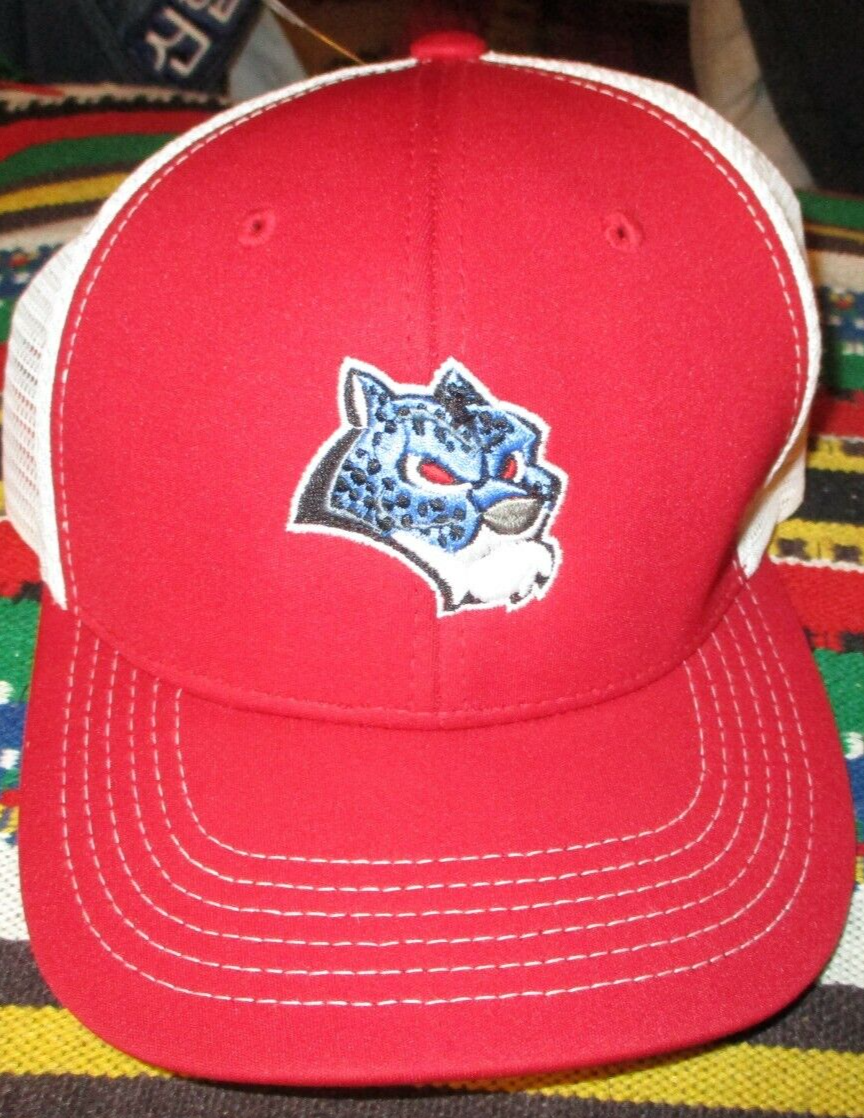 Minor League Baseball Team Snapback Mesh Hat Top Of The World MiLB