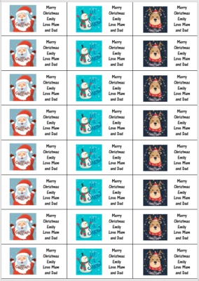 48 Personalised Merry Christmas Labels Stickers Party Bags Sweet Cones Santa