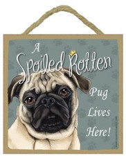A Spoiled Rotten Pug Lives Here Fawn Cute Dog Sign 5"x5" Wall Or Easel NEW 465