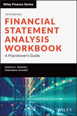 Financial Statement Analysis Workbook by Fernando  Alvarez PAPERBACK