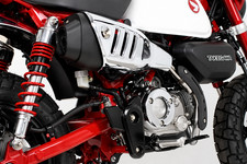 Takegawa Auspuff f&uuml;r Honda Monkey Z125 JB02 JB03