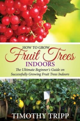 How To Grow Fruit Trees Indoors: The Ultimate Beginner's Guide On Successfu...