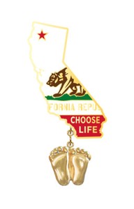 Authentic Precious Feet, 14K Gold Plated, California Flag Jewelry, Lapel Pin