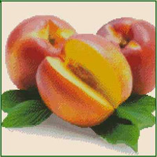 Nectarines Counted Cross Stitch Chart No.41-104