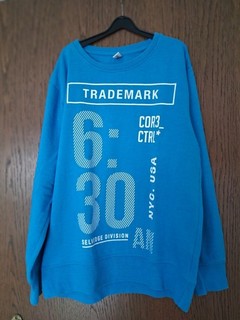 Sweatshirt Langarm Junge Gr. 158/164 hellblau