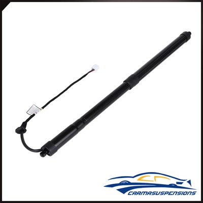 Lift Support Shock Strut For LEXUS RX 2016-2019 LH (VIN starts with J, JTJB) New