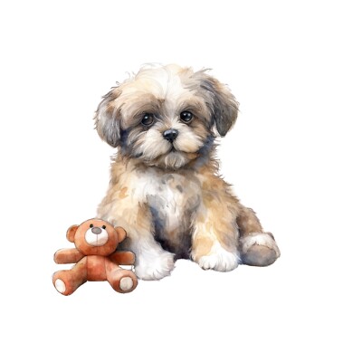 Shih Tzu Auto Aufkleber Hunde Sticker