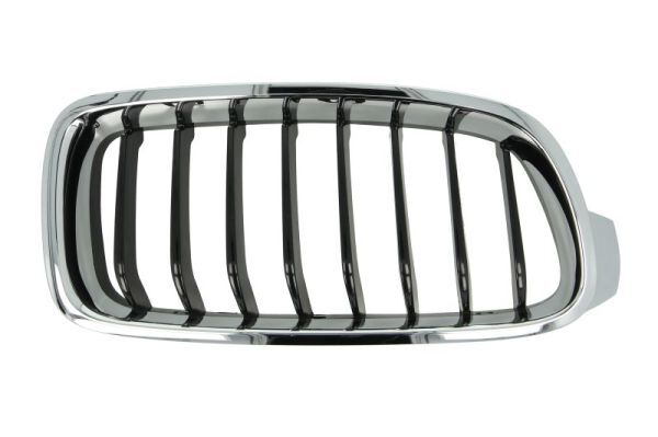 BLIC 6502-07-0063996P Radiator Grille for BMW