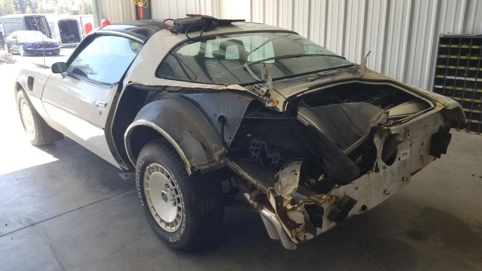 1981 PONTIAC FIREBIRD TRANS-AM HEATED REAR BACK GLASS WINDOW - Изображение 3 из 4