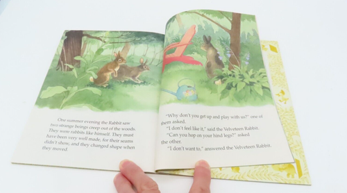 The Velveteen Rabbit A Little Golden Book Hardcover 1992 - Picture 9 of 10