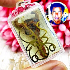 2in1 Cobra Snake Boa Spurs Gambling Money Wealth Charm Penis Thai Amulet #17688