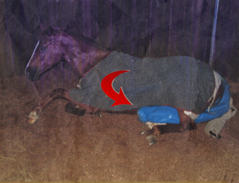 Picture 3 of 4