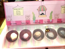 Decadent Gourmet Assorted Chocolate Soapettes Pink 6 Soaps