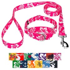 Country Brook Petz Martingale Collar and Leash - Summer Breeze Collection