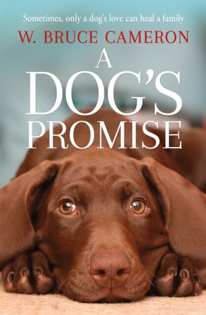 A Dog's Promise 9781529010084 W. Bruce Cameron - Free Tracked Delivery