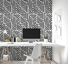 Zebra Geo Mono Wallpaper