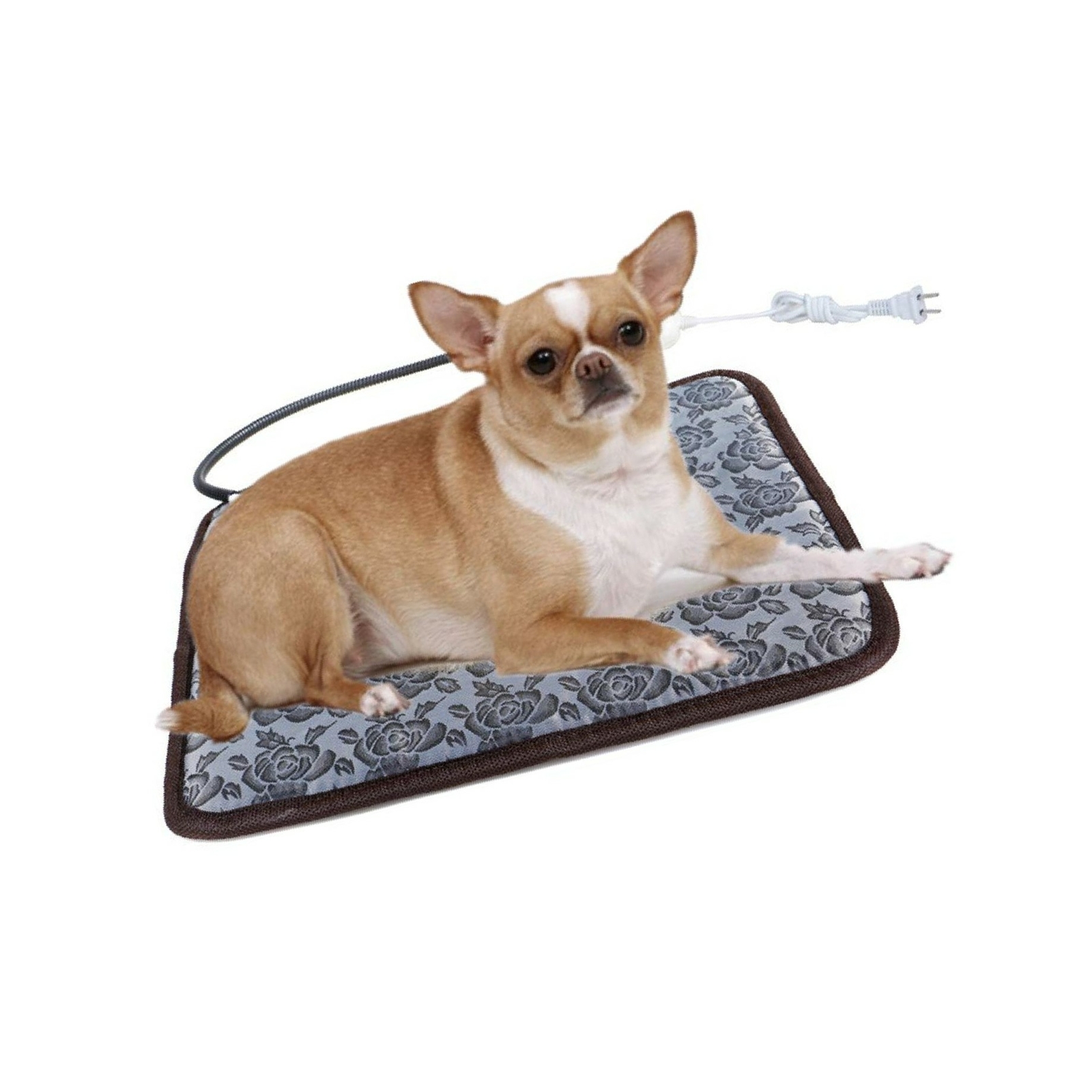 chihuahua heating pad