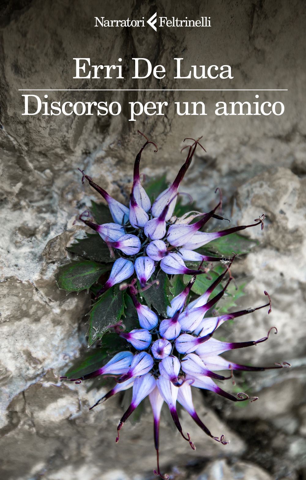 Libri Erri De Luca - Discorso Per Un Amico