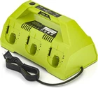 P135 P180 6 Ports Rapid Charger Station for Ryobi 18V ONE+ Supercharger P190