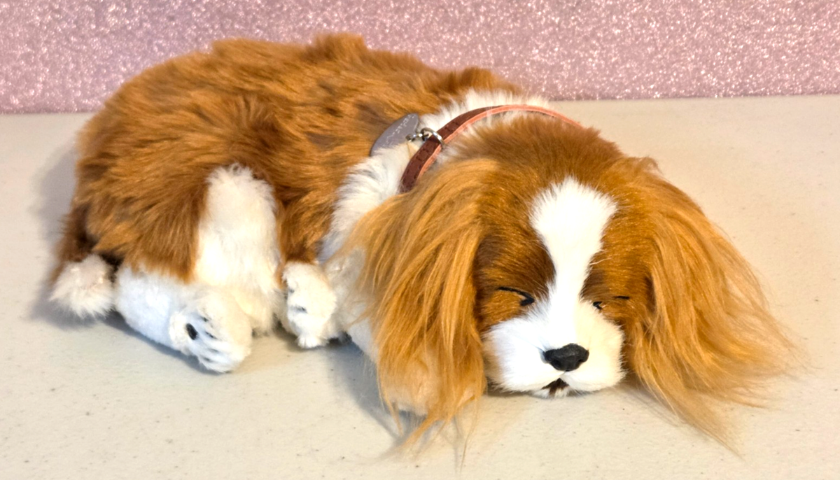【中古】THE DOG ~ CavalierKingCharlesSpaniel Perfect Petzzz CAVALIER KING CHARLES SPANIEL Sleeping Breathing