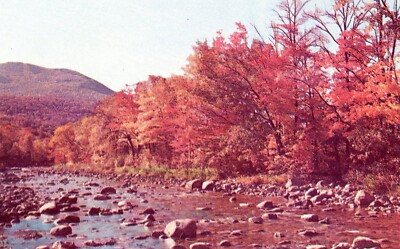 Nature Is the Living Visible Garment of God, Quote by Goethe --POSTCARD