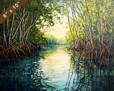 Everglades with mangroves oil painting 8x10 Print