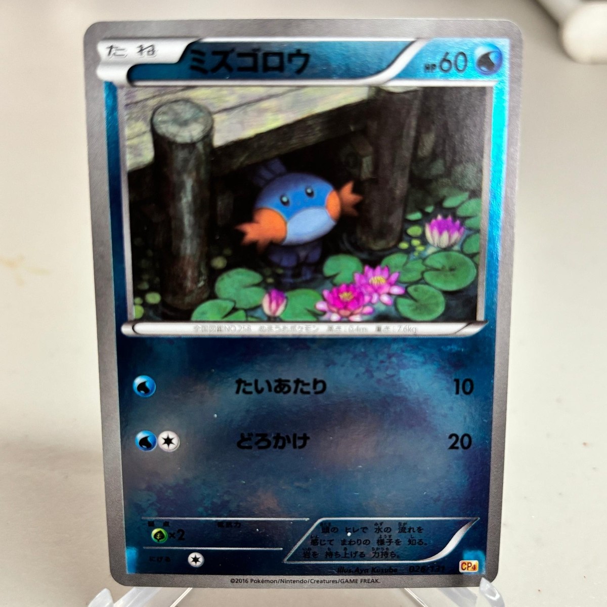 超希少POP83 PSA10 MUDKIP ミズゴロウ cp4 026/131 Mudkip 026/131 Reverse Holo Champion Pack Pokemon Japanese ~ MP | eBay