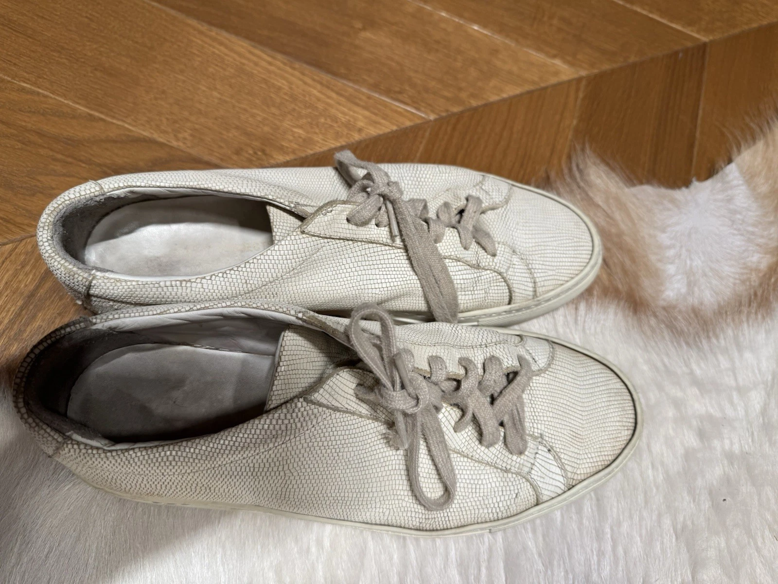 COMMON PROJECTS progetti comuni 44 bianco