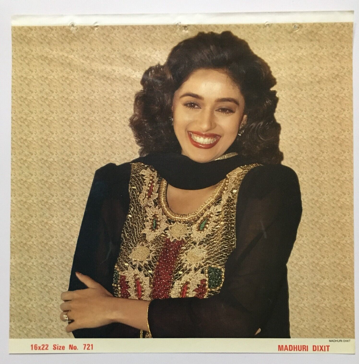 India MADHURI DIXIT Bollywood Art Print 15in x 15in (12567)