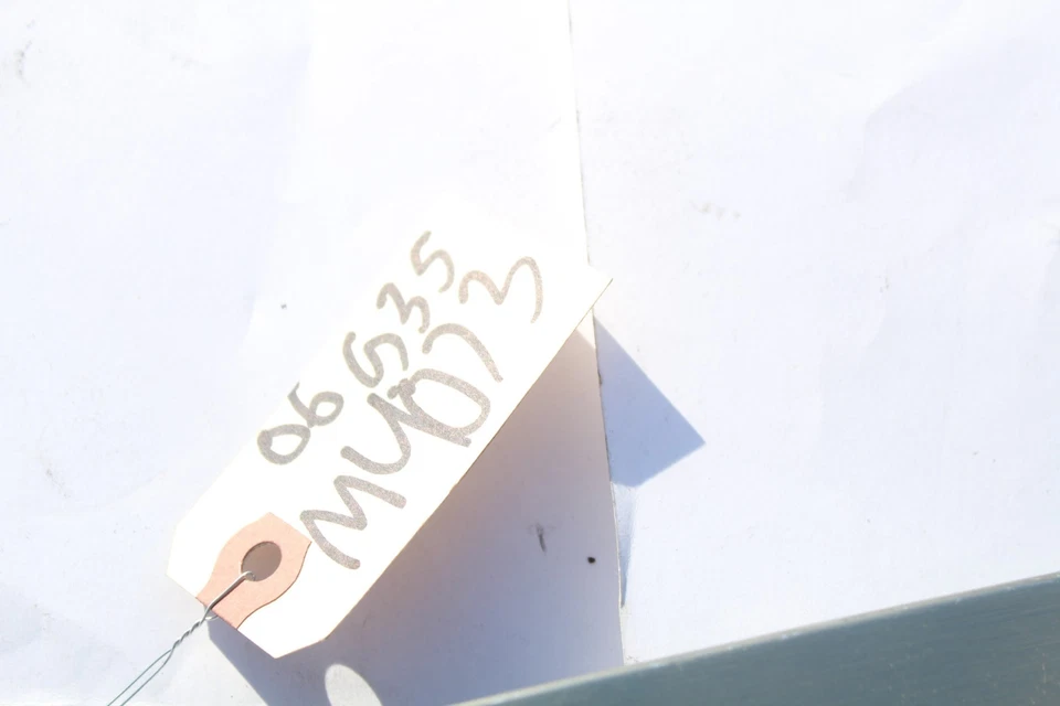 Infiniti G35 2006 cupé MT MT pasajero puerta derecha manija interior agarre moldura M4073 Foto 2 de 4