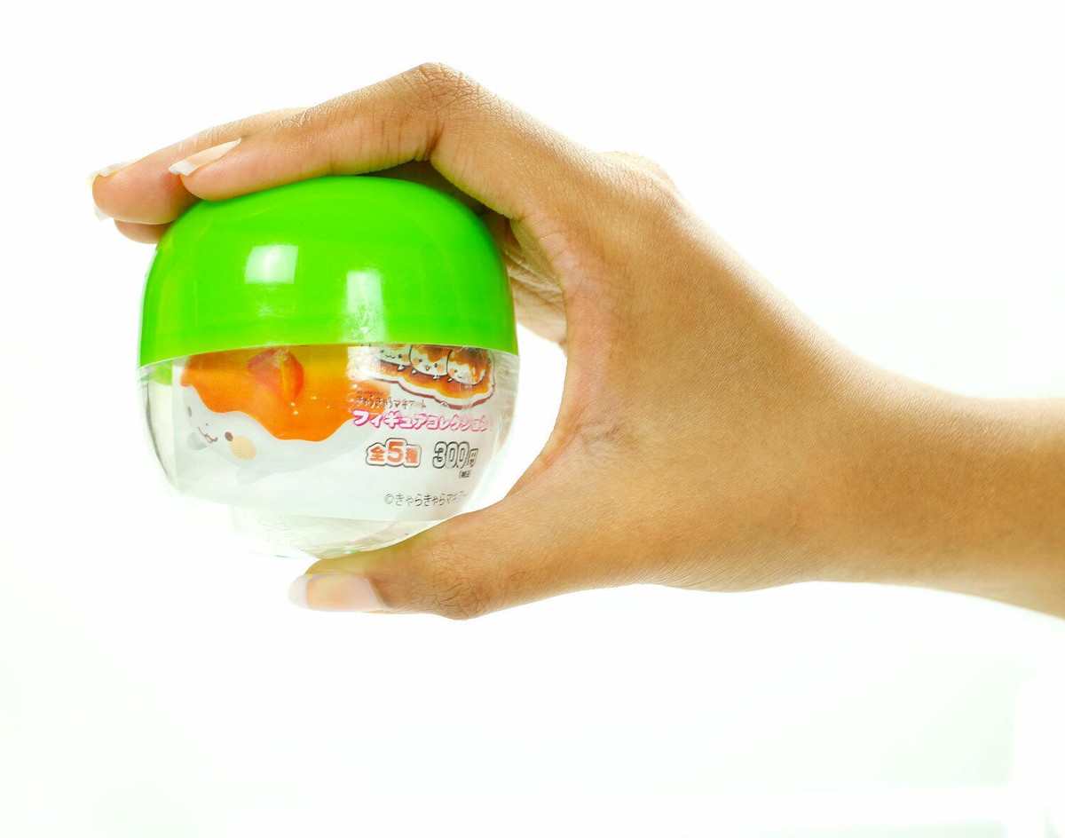 Preparatevi Ad Innamorarvi Di Mango, Il Gatto Paffuto E Simpatico Amato - Foto 12