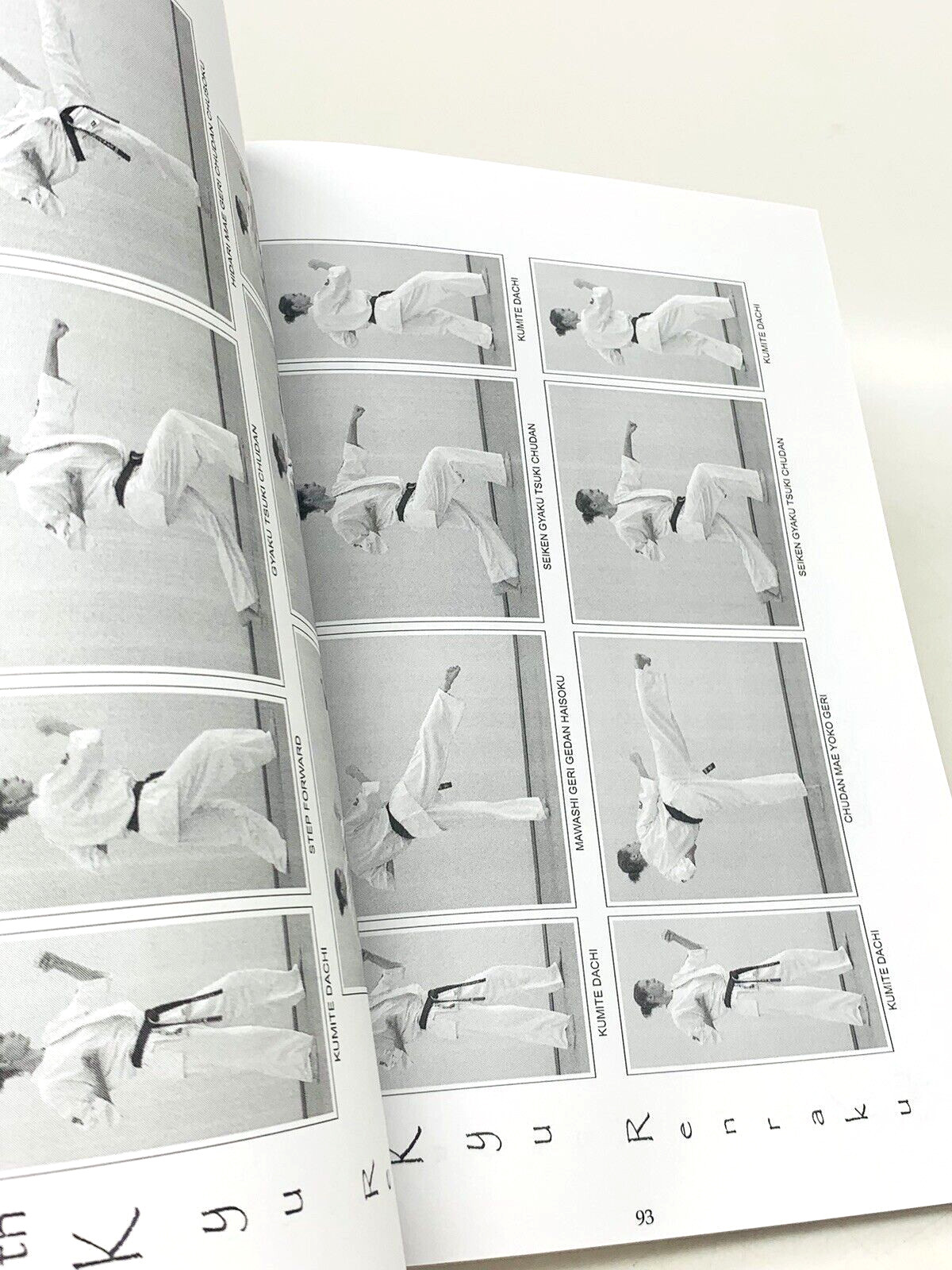 Traditional Kyokushin Karate Budo & Knockdown Sensei Piotr Szeligowski