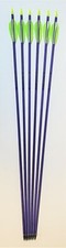 NEW Feather Fletched Easton Jazz Aluminum Arr...