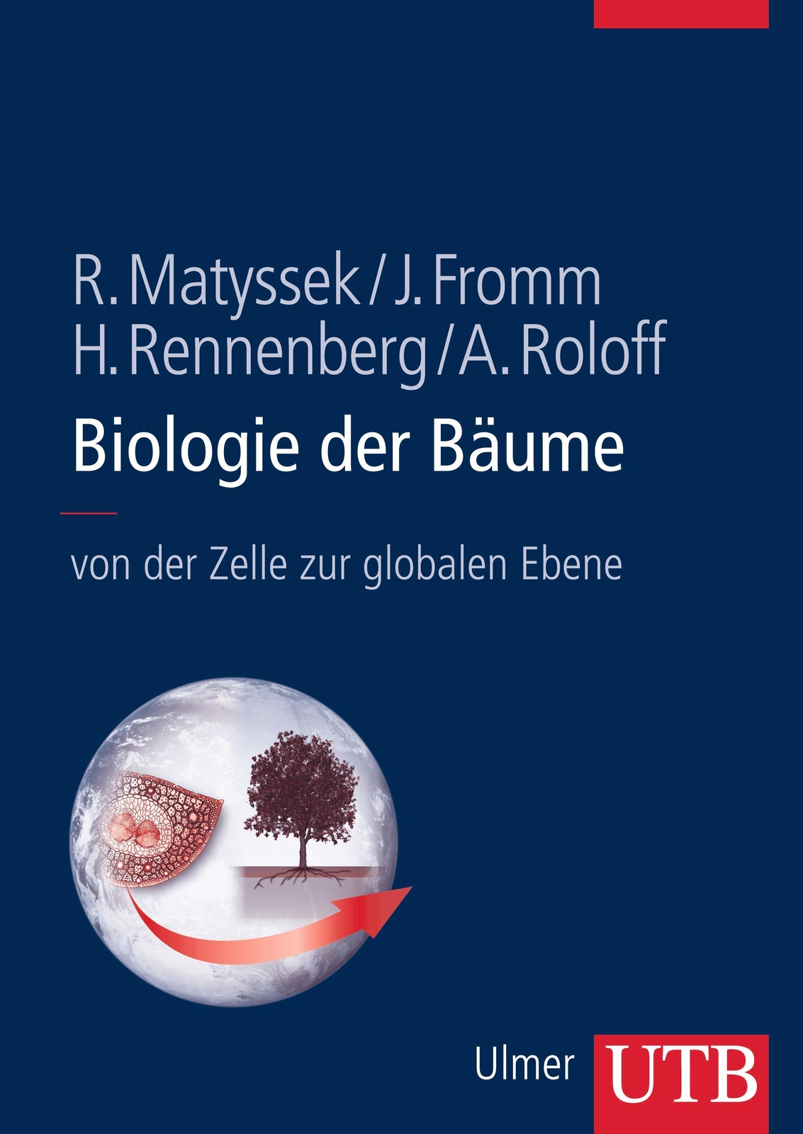 Thumbnail - Biologie Der Bäume Rainer Matyssek