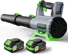 Leaf Blower Cordless with 2× 5.0Ah Batteries and Charger, 21V Electric, Light...