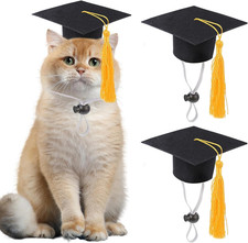 2 Pack Mini Graduation Caps with Yellow Tassels, Small Animal Bachelor Hats for
