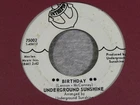 DEMO PROMO-UNDERGROUND SUNSHINE-BIRTHDAY-INTREPID PSYCH BEATLES COVER