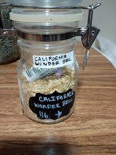 California Wonder Bell Pepper 1/2 Oz Seed