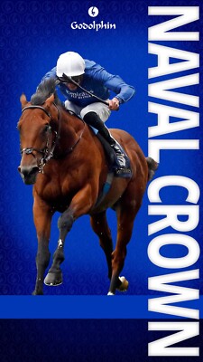 Horse racing photo, stallions,thoroughbreds ascot, breeders cup,farms, cup