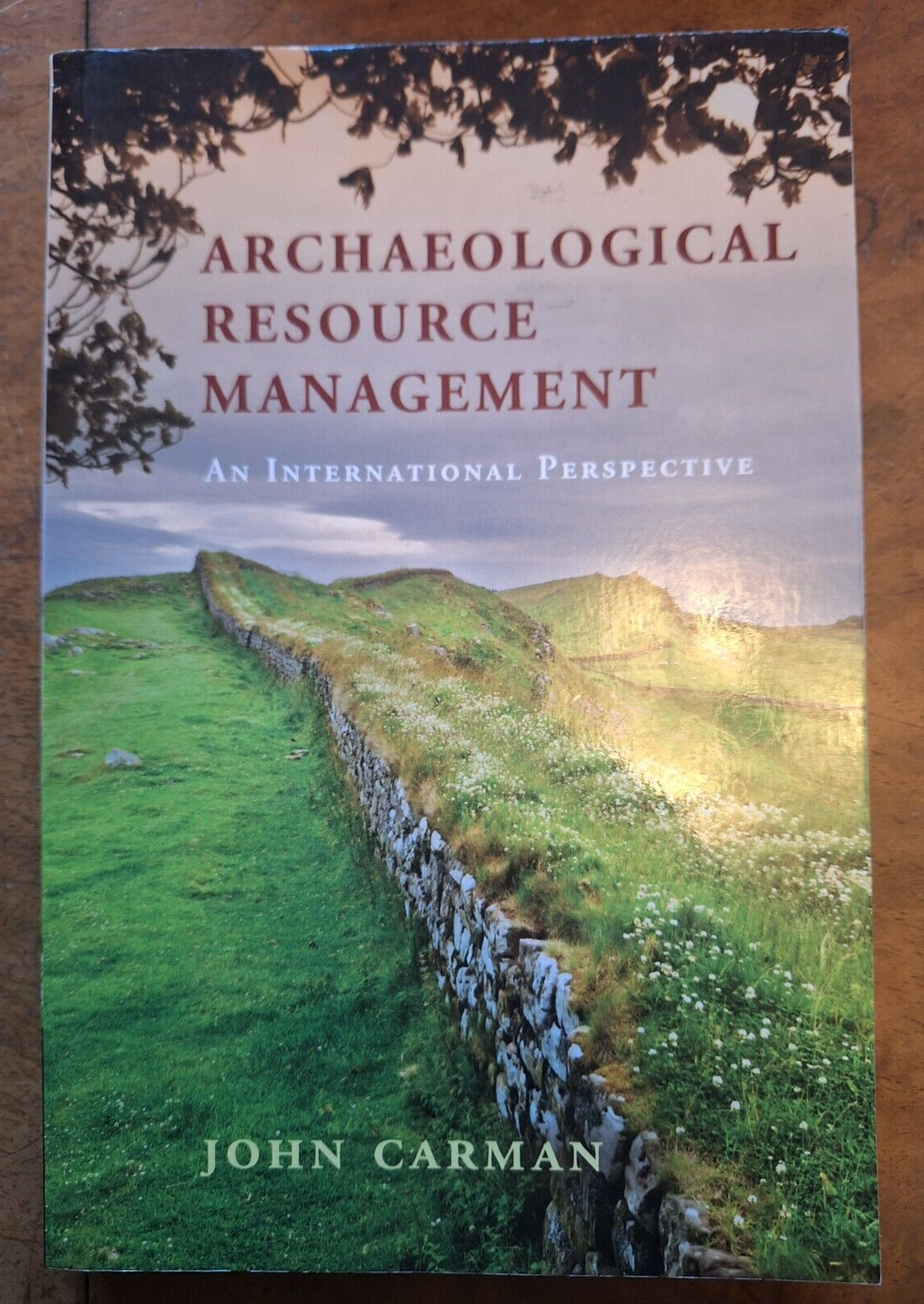 Archaeological Resource Management: An International Perspective by John Carman