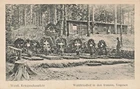 Western Theater-Forest cemetery in the Vosges France~WW1 MILITARY PHOTO POSTCARD