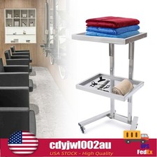 2 Tier Cart Rolling Trolley Beauty Salon Storage Cart Holder Trolley Tray Silver