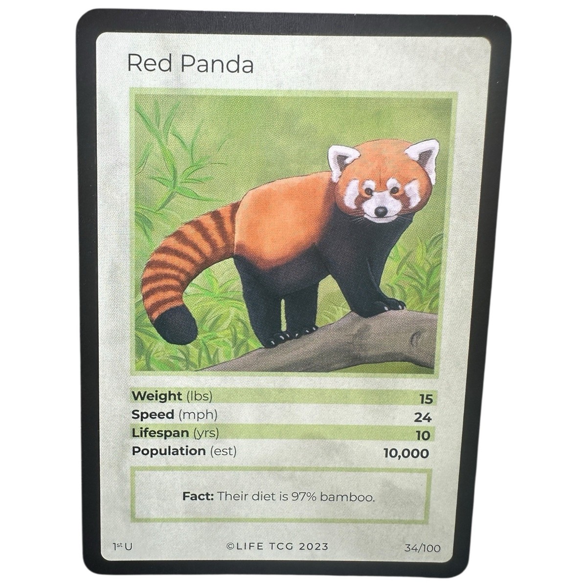 動物カード　LIFE TGC 哺乳類 Life TCG Mammals Red Panda 2023 1st Edition Uncommon 34/100 Life