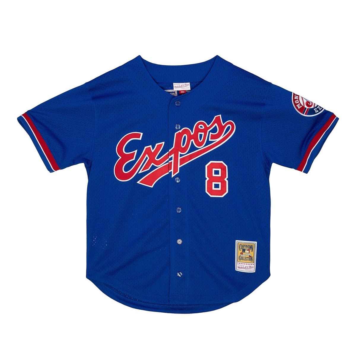 Montreal Expos Gary Carter #8 Mitchell & Ness Blue 1992