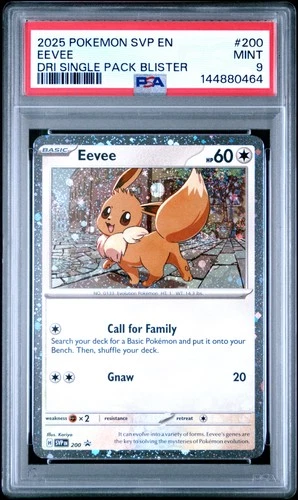 2025 POKEMON SVP DESTINED RIVALS SINGLE PACK BLISTER #200 EEVEE PSA 9