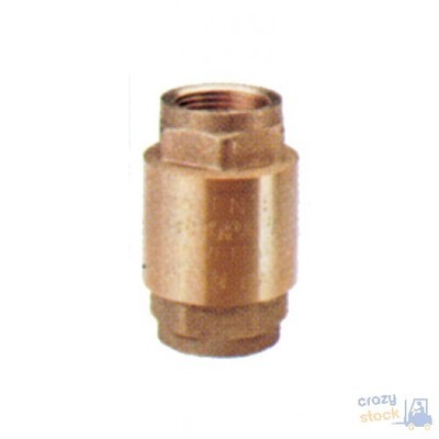 Check Valve Europe A 100 1-1.4