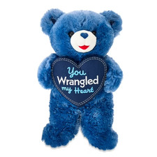Large Sweetheart You Wrangled My Heart Teddy Bear Plush, Blue, 14"