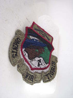 19?? US  Omnis Vir Tigris     cloth patch i  olive drab  (3jn19a 6)